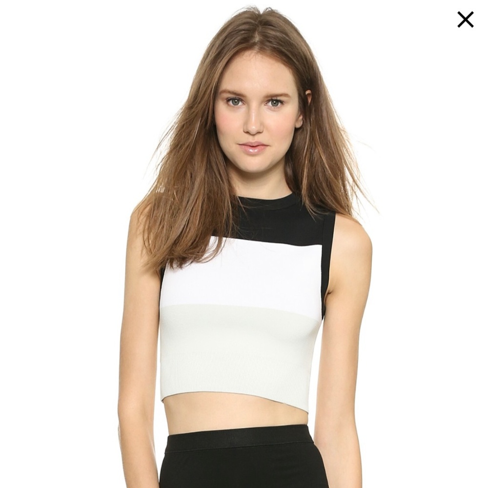 ALC Charlotte Top NWT Colorblock Size Small